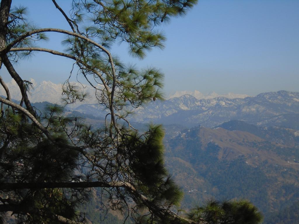 New Dolma Hotel Almora Exterior photo
